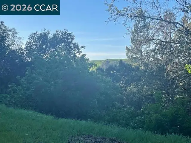 2965 Rohrer Dr, Lafayette, CA 94595 - #2