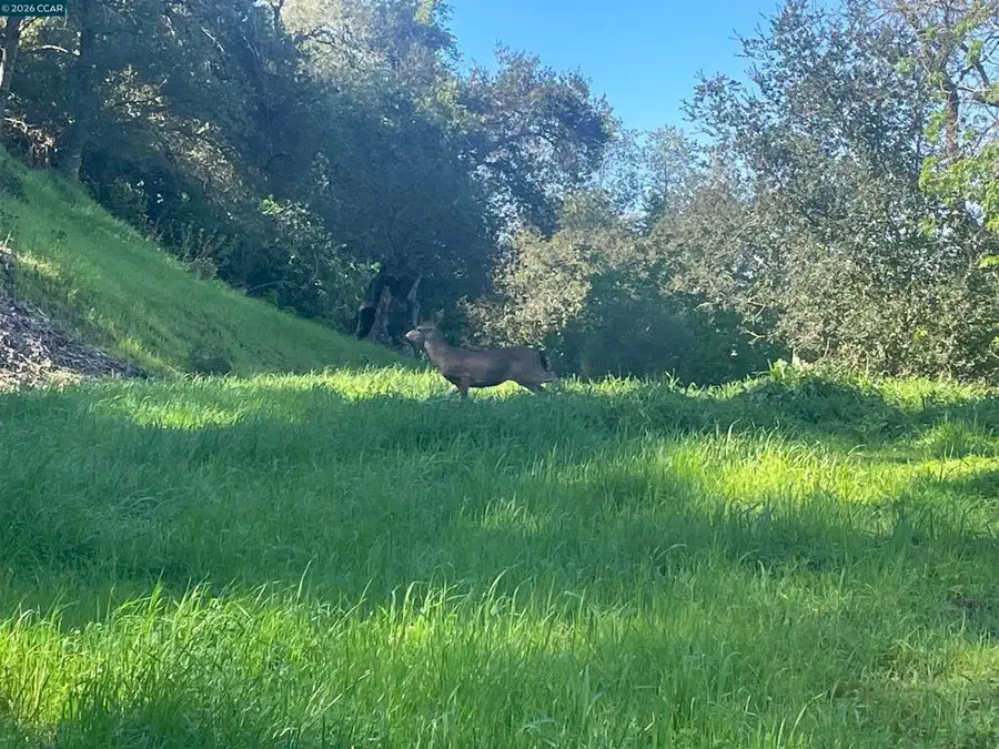 2965 Rohrer Dr, Lafayette, CA 94595 - #3