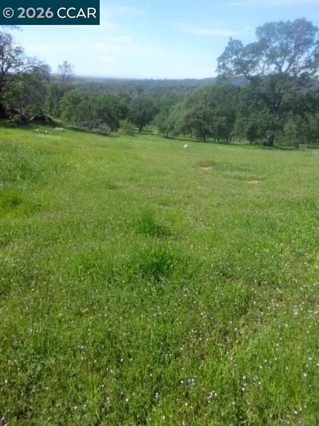 56 Deer Hollow Trail, Browns Valley, CA 95918 - #2