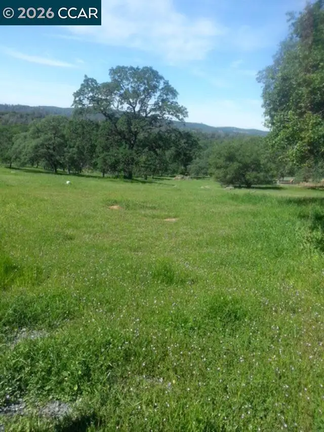 56 Deer Hollow Trail, Browns Valley, CA 95918 - #3