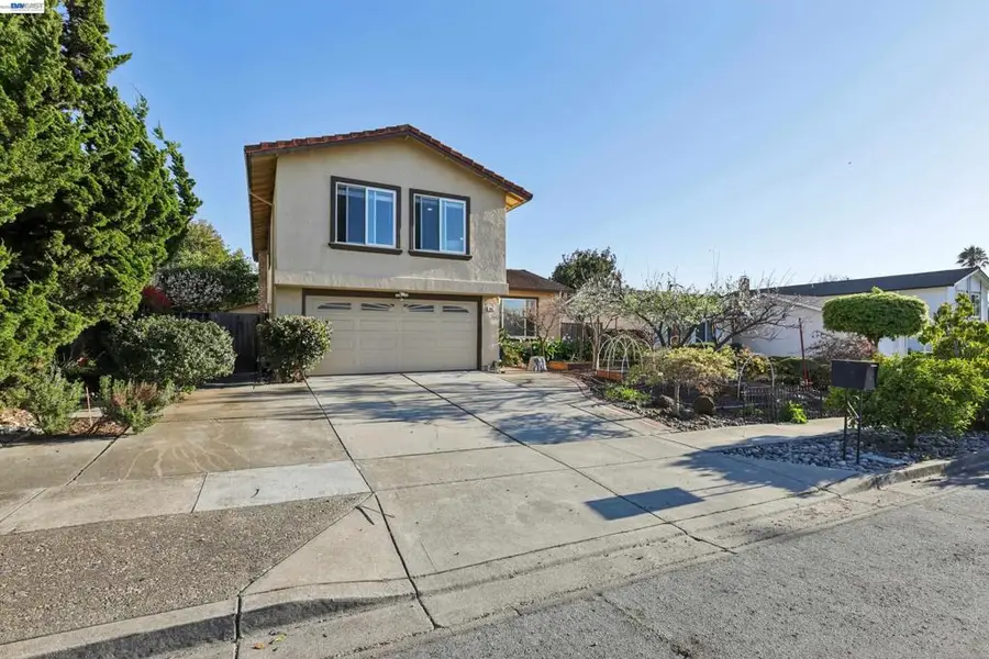 465 465 Wilaneta Ave, Fremont, CA 94539 - #2