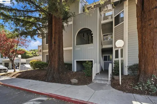 3395 Pinewood Ter #304, Fremont, CA 94536