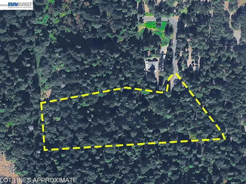 5890 Starkes Grade Rd, Pollock Pines, CA 95726 - #1