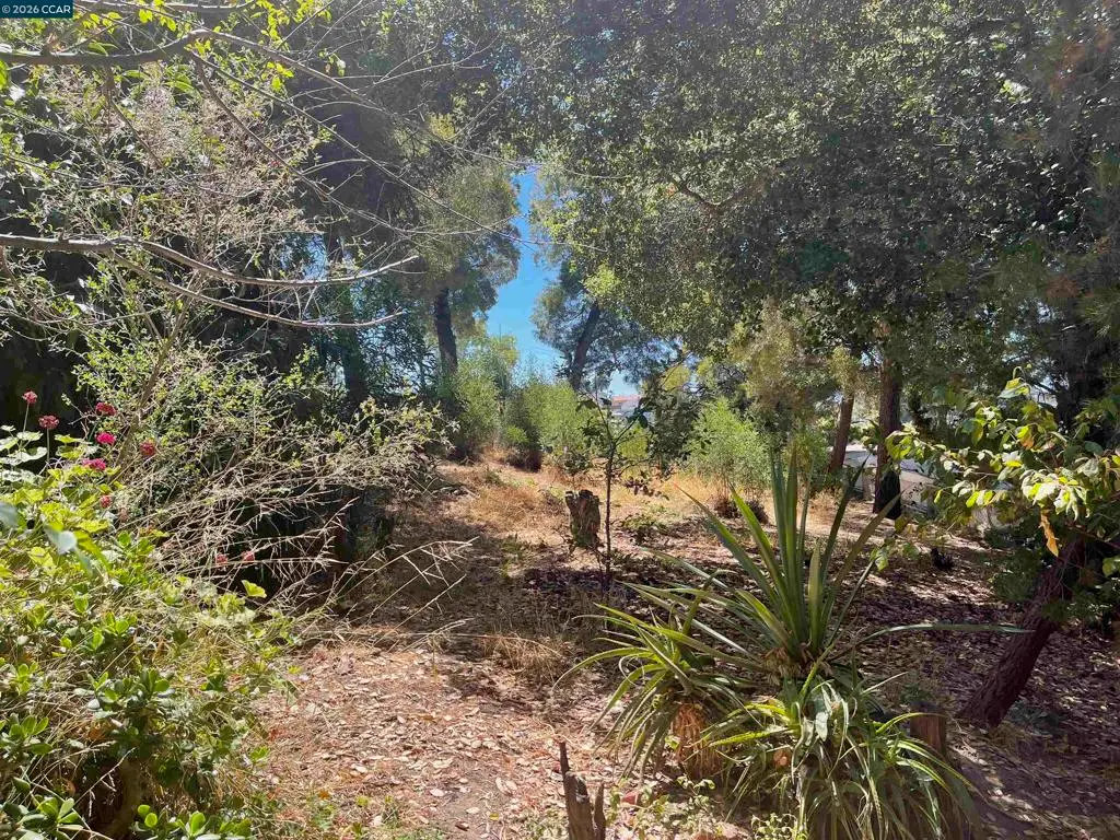 1930 E 30th St, Oakland, CA 94606 - #1