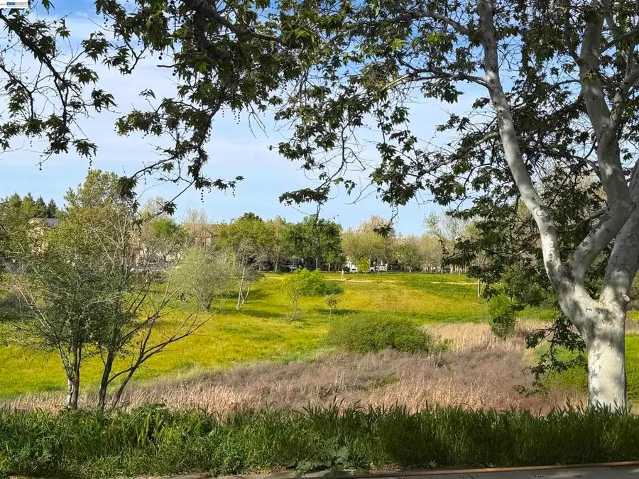 726 S Escuela Dr, Mountain House, CA 95391 - #3