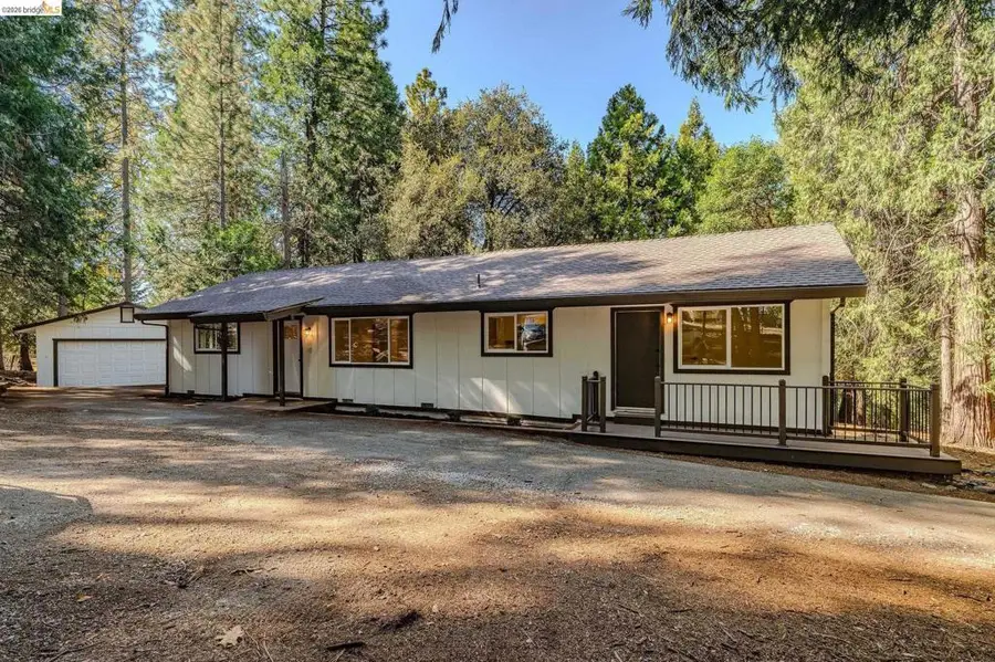 23656 Lightning Ln, Pioneer, CA 95666 - #3