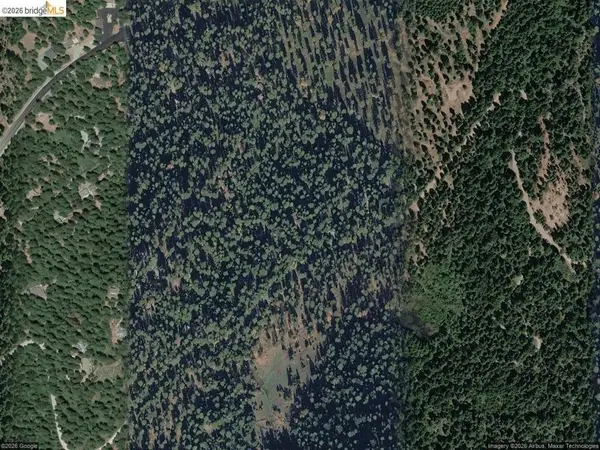 27901 Salt Springs Rd, Pioneer, CA 95666