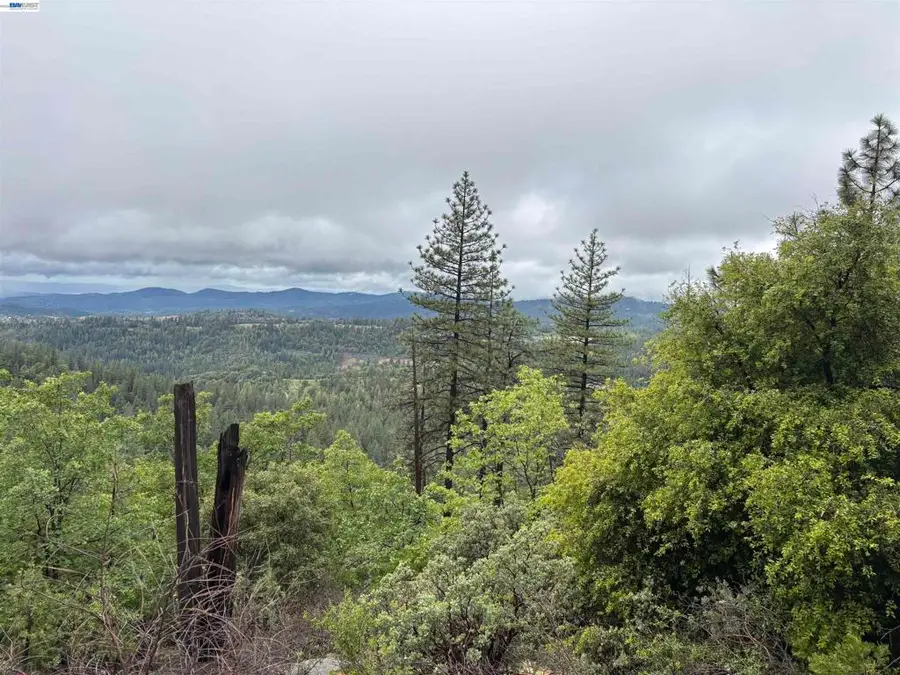 20800 Mount Provo Road, Twain Harte, CA 95383 - #3