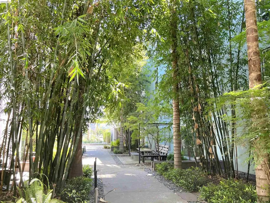 1253 Pine St, Oakland, CA 94607 - #3