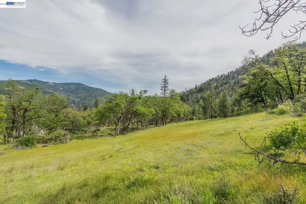 1780 Dutch Creek Rd, Junction City, CA 96048 - #1