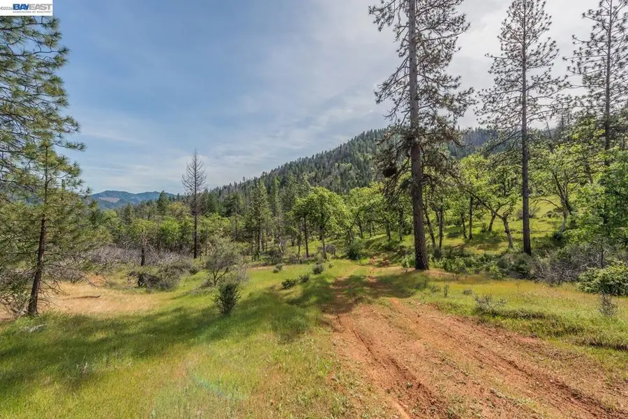 1780 Dutch Creek Rd, Junction City, CA 96048 - #3