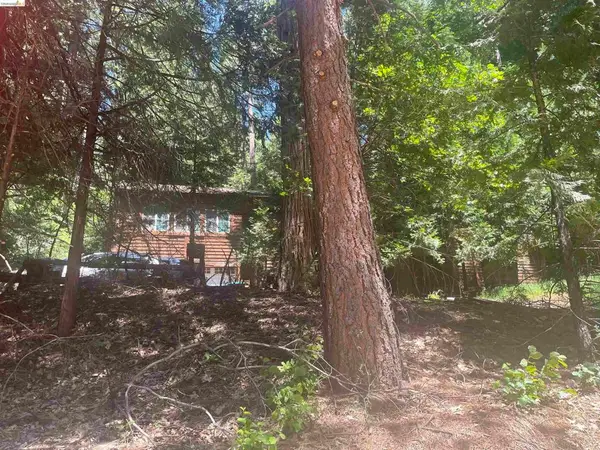 3201 Amber Trl, Pollock Pines, CA 95726