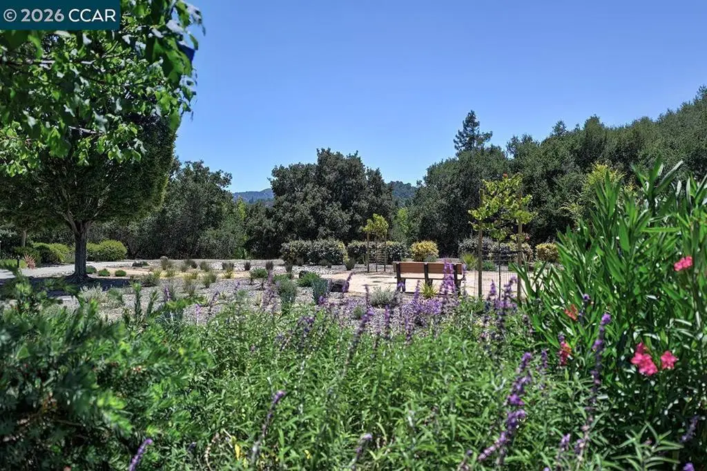 2025 Golden Rain Rd #7, Walnut Creek, CA 94595 - #1