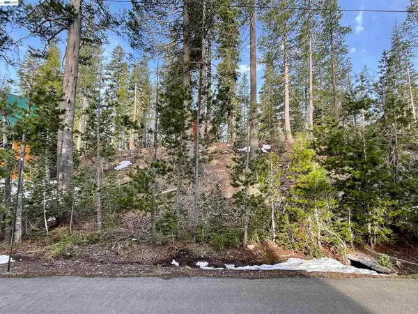 7217 Palisade Road, Soda Springs, CA 95728