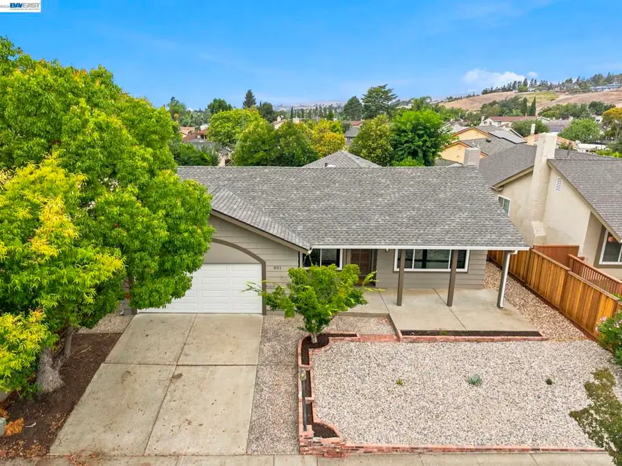 801 Lippert Ave, Fremont, CA 94539 - #2