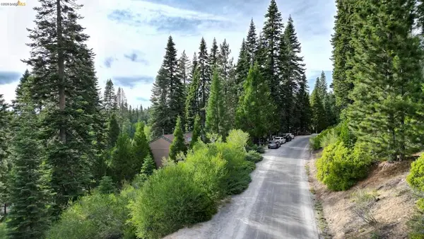 33826 Upper Leland Rd, Pinecrest, CA 95364