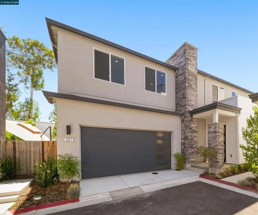 207 Bisque Ct, San Ramon, CA 94583 - #1
