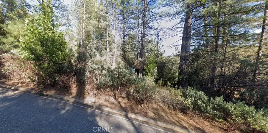 12105 Blackberry Lane, Pine Grove, CA 95665 - Image #2