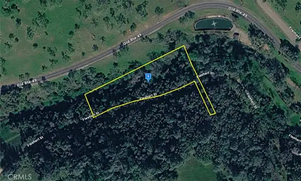 10605 Fleehart Street, Amador City, CA 95601