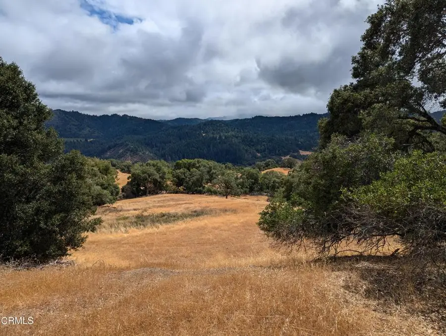 24051 Fig Tree Lane, Yorkville, CA 95494 - Image #3