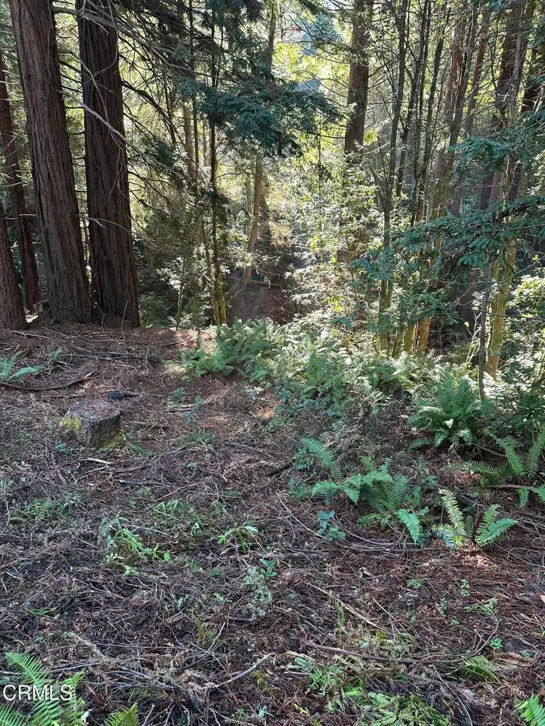 17500 Redwood Springs Drive, Fort Bragg, CA 95437 - #1