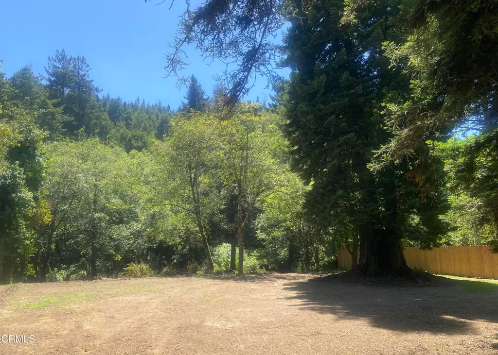 23780 De Haven Creek Road, Westport, CA 95488 - #1