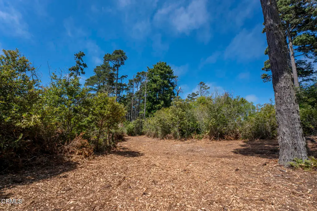 17898 Georges Lane, Fort Bragg, CA 95437 - #1