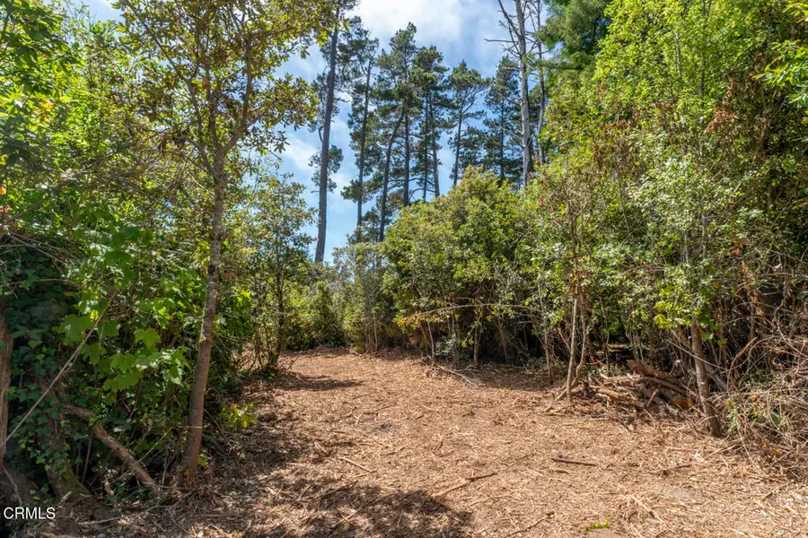 17898 Georges Lane, Fort Bragg, CA 95437 - #3