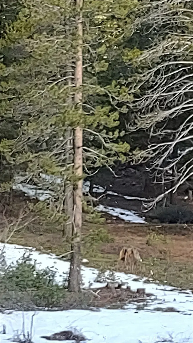 0 Lot 16, Block 26, Unit 2, Alturas, CA 96101 - Image #1