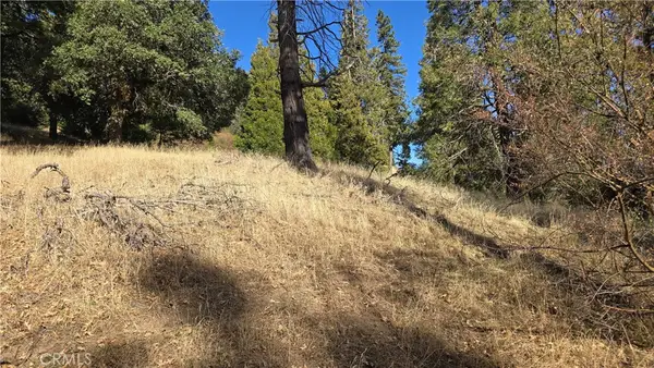 0 Unknown, Cedarpines Park, CA 92322