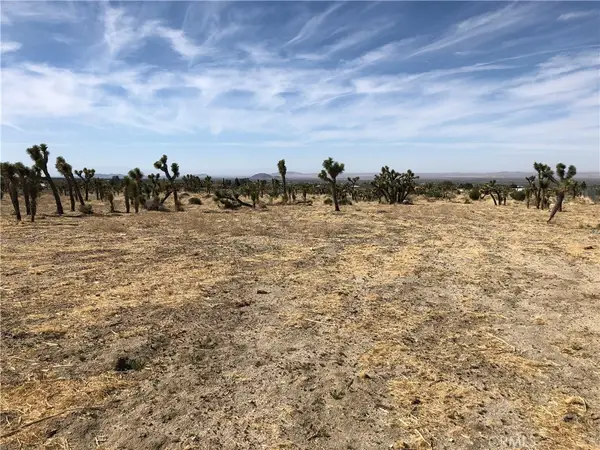 10823 Daisy Court Lane, Pinon Hills, CA 92372