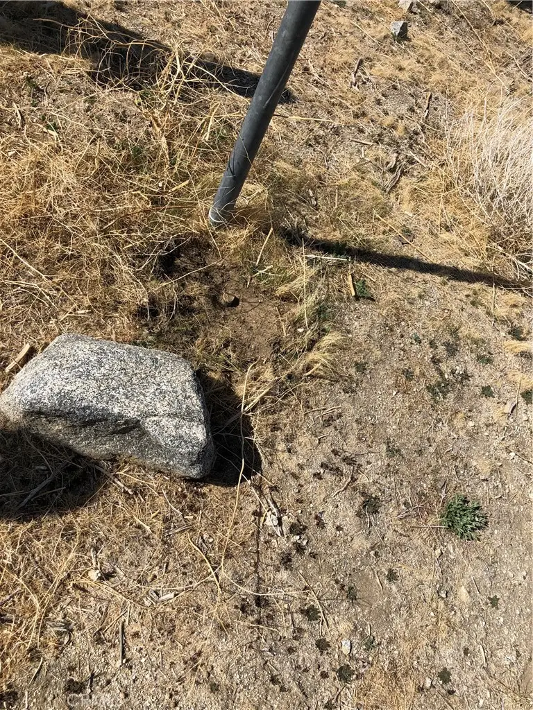 10823 Daisy Court Lane, Pinon Hills, CA 92372 - #3