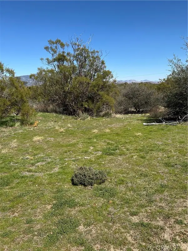 44805 Chapman Road, Anza, CA 92539