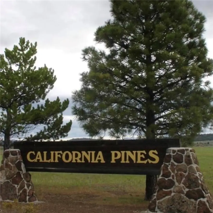 0 Lot 5 And 6 Block 75 - Unit 3, Alturas, CA 96101 - #2
