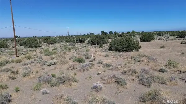 0 Coyote / Pionero Road, Pinon Hills, CA 92372