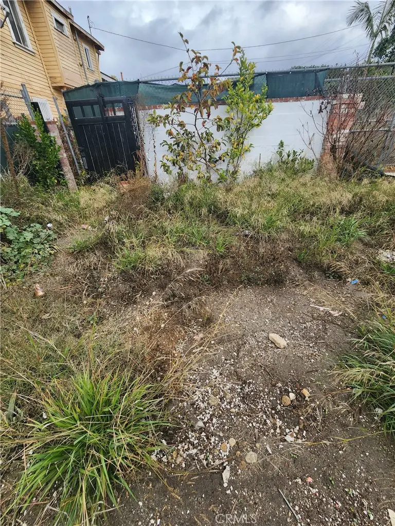 3803 S St Andrews Place, Los Angeles, CA 90062 - Image #3