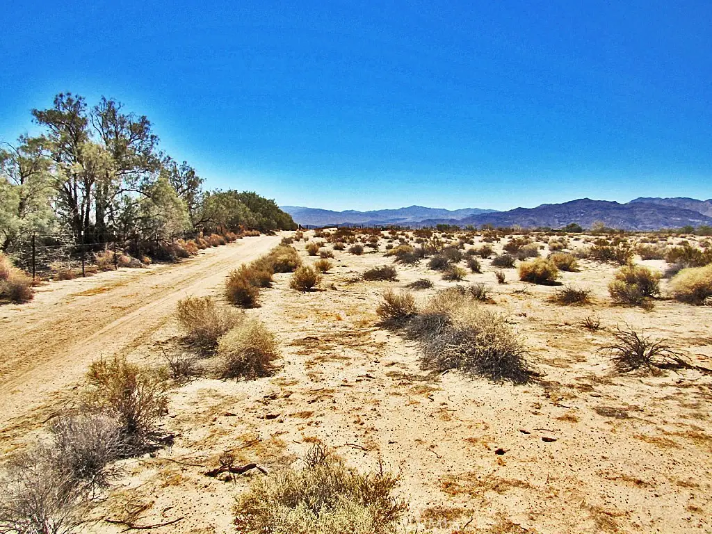 34348 Lakeview Avenue, Newberry Springs, CA 92365 - #1