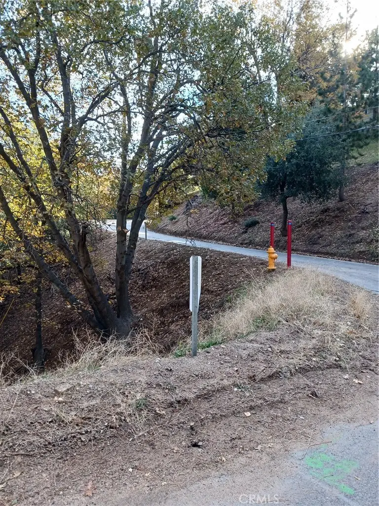 24764 Edelwiess Drive, Crestline, CA 92325 - #2