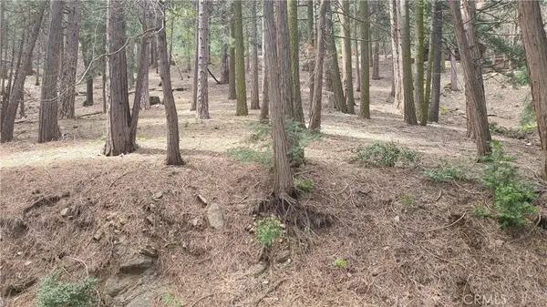 44 Reservoir Road, Cedarpines Park, CA 92322