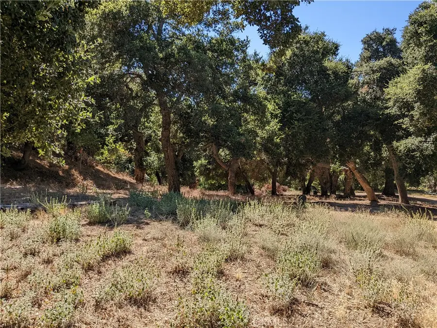 0 San Francisquito Cyn Rd, Santa Clarita, CA 91350 - #2