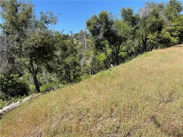 54 Rd 416, Coarsegold, CA 93614