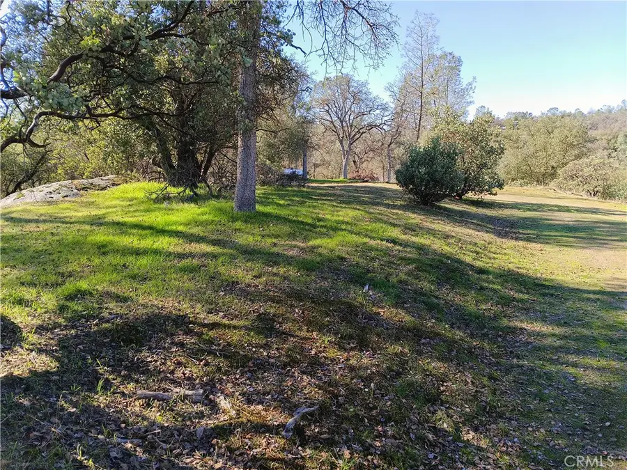 Lot 856 Deep Forest Drive, Coarsegold, CA 93614 - #2