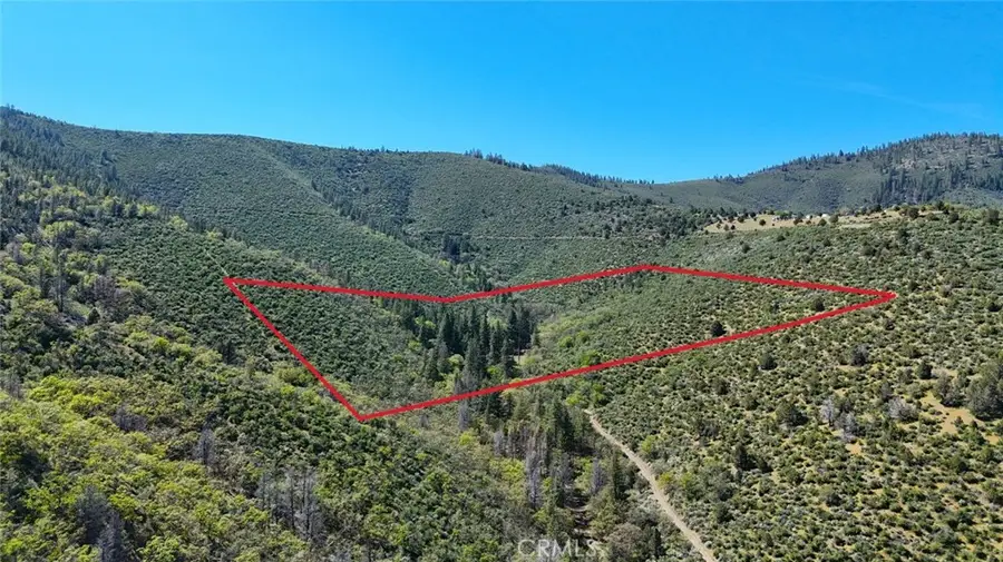 40 Scarface, Gazelle, CA 96034 - #2