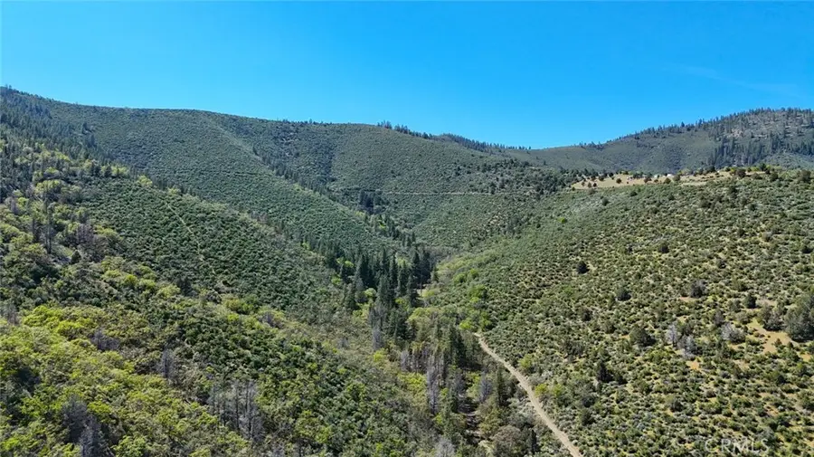 40 Scarface, Gazelle, CA 96034 - #3