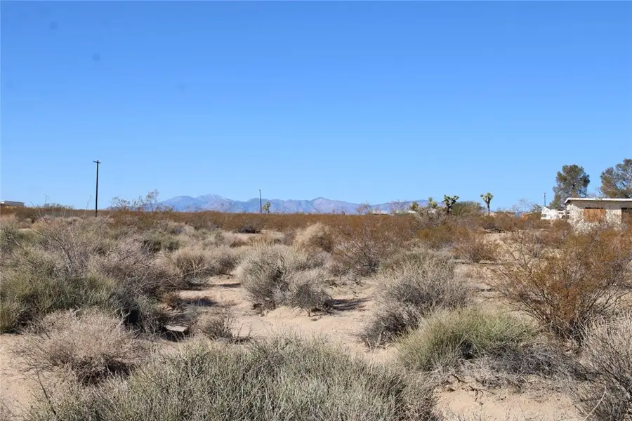 3465 Porter Boulevard, Joshua Tree, CA 92252 - Image #3