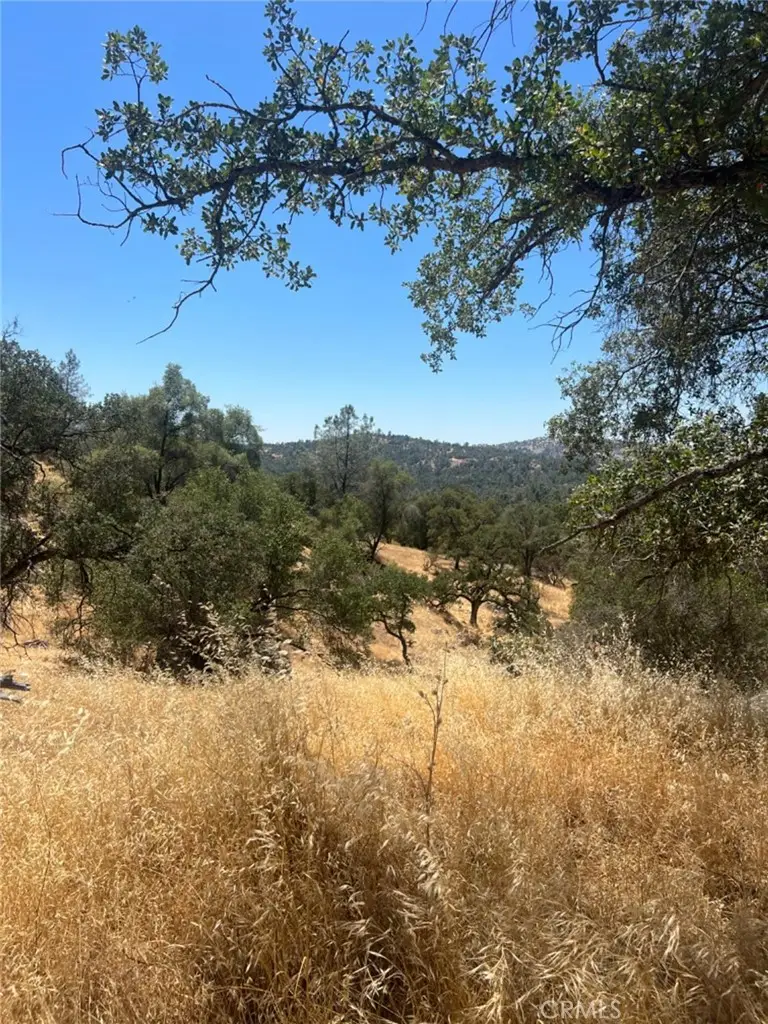 0 Deep Forest Drive, Coarsegold, CA 93614 - #1