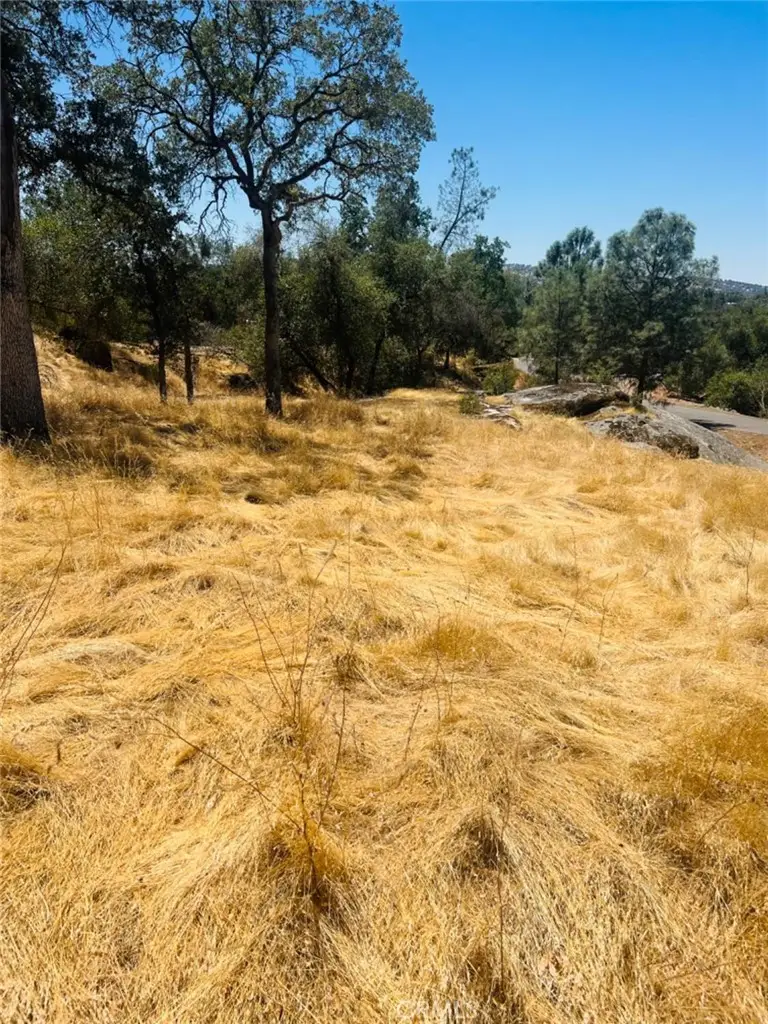 0 Deep Forest Drive, Coarsegold, CA 93614 - #2