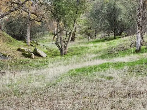 0 Deep Forest Drive, Coarsegold, CA 93614 - #3