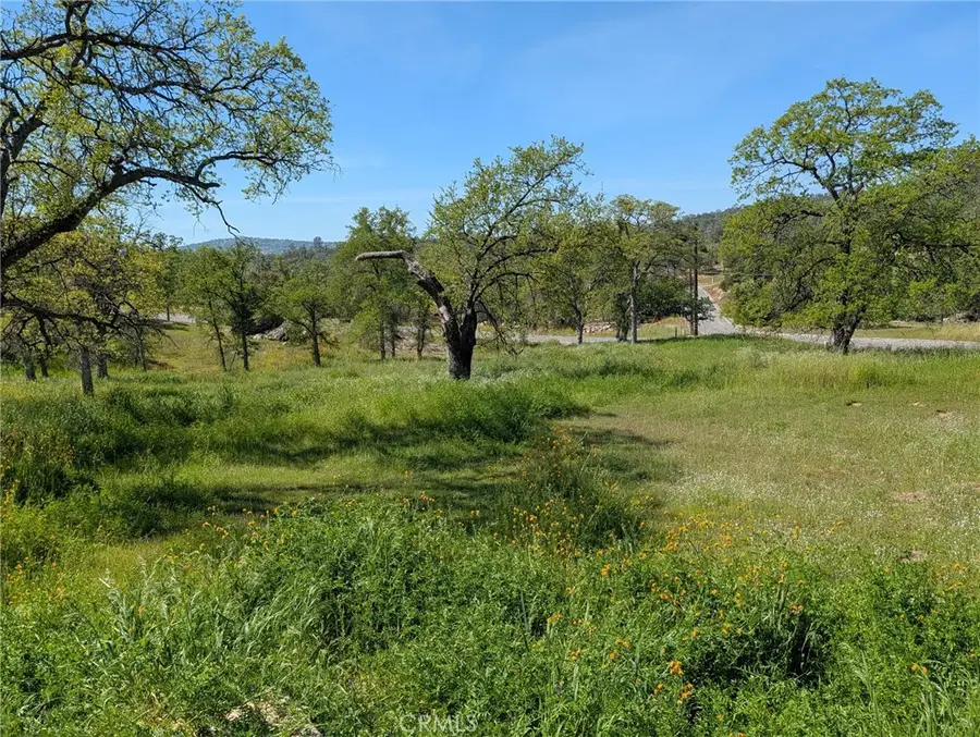 43243 Long Hollow Drive, Coarsegold, CA 93614 - #3