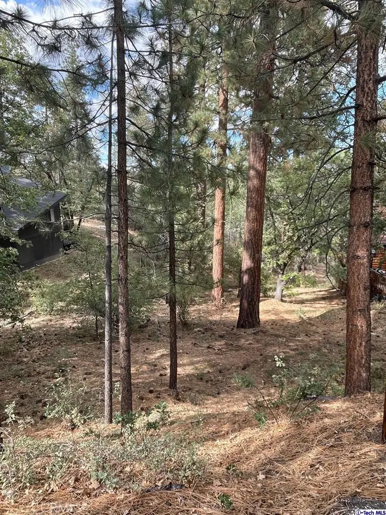 600 Travertine Road, Big Bear City, CA 92314 - Image #1